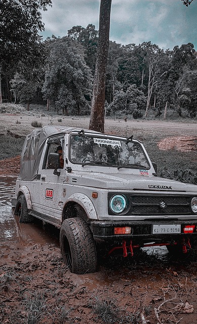 还有法国队 还有法国队