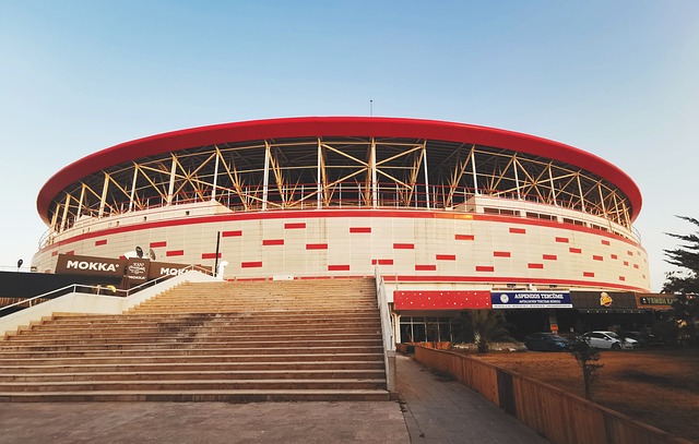 球为太阳队 球为太阳队