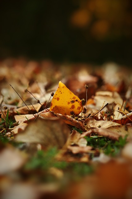 目的火花 目的火花