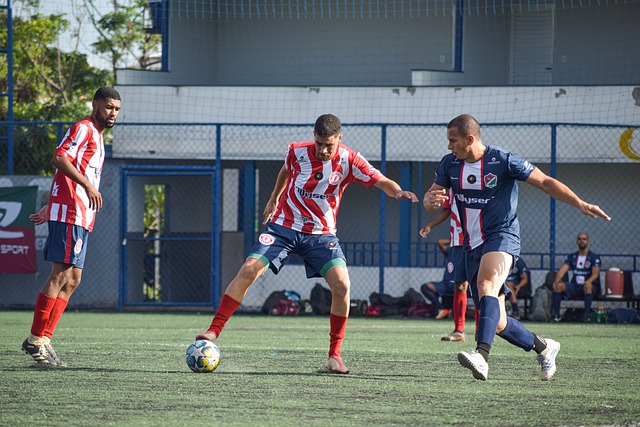 领域发光发 领域发光发